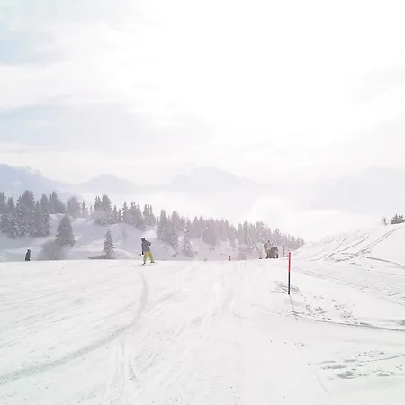 格拉齐亚木屋 *