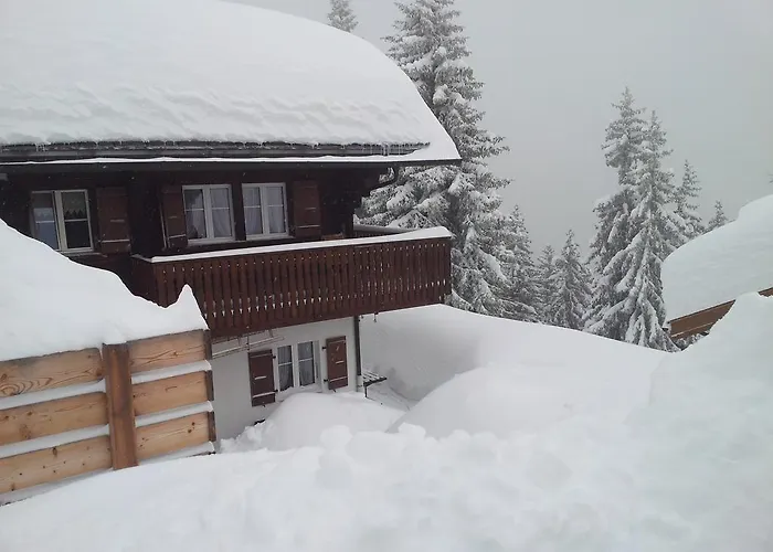 Апартаменты Grazia *